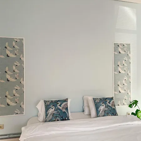 Timuti Art * Tallinn